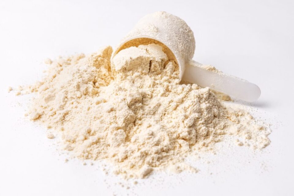 Whey vs Plant Protein A ScienceBased Comparison