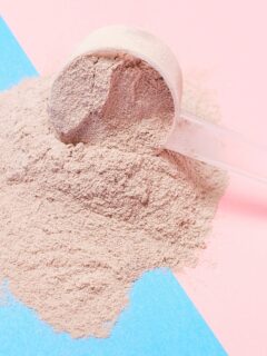 Best Protein Powder for IBS